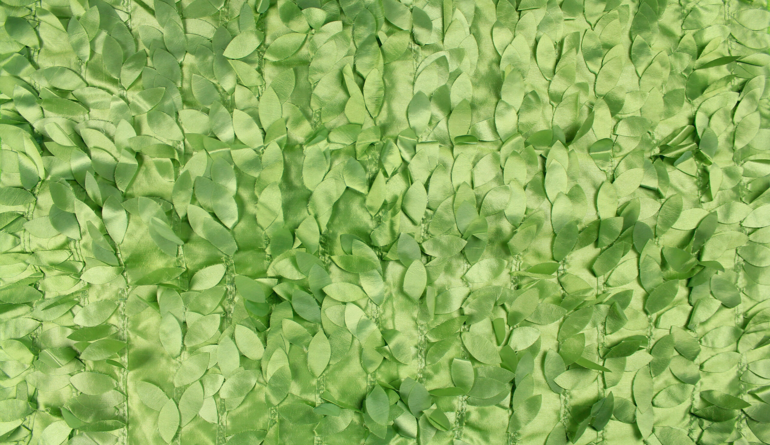 Camino de Mesa Verde